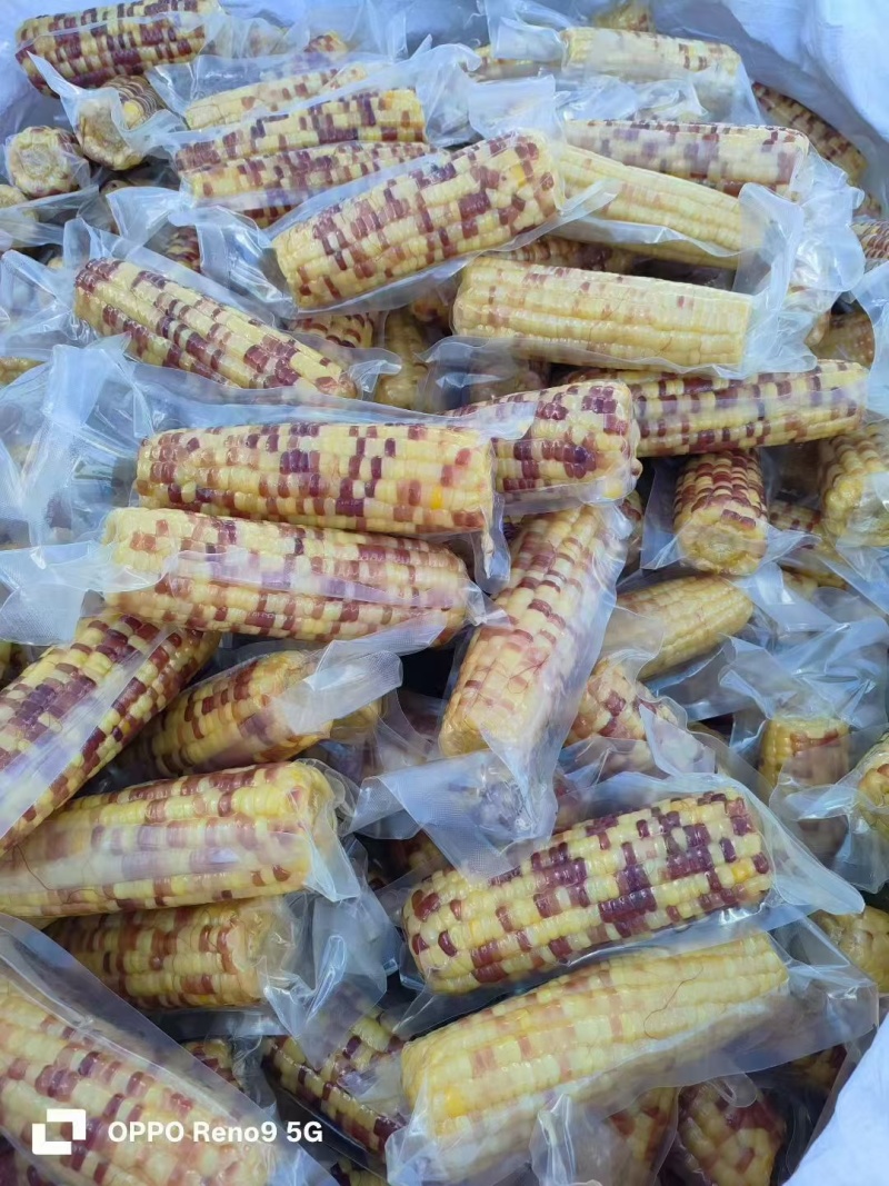 粘玉米现货发售
