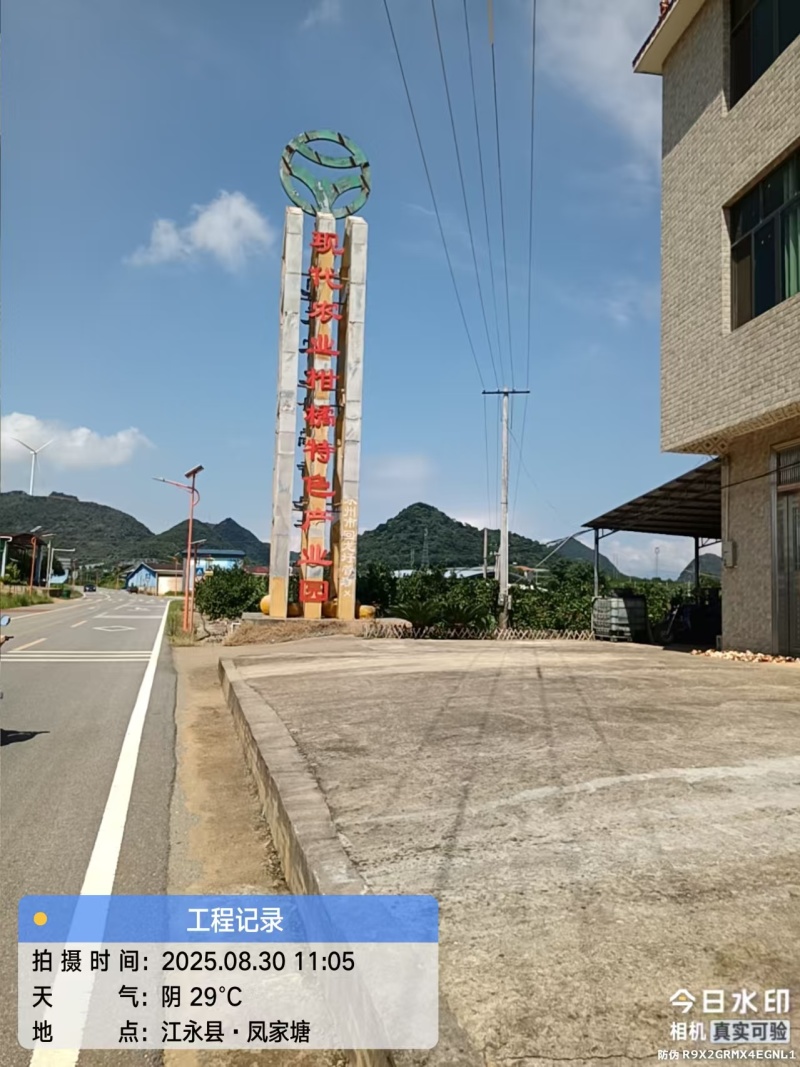 江永县新鲜蜜橘，甜美多汁，天然***，现摘现发！
