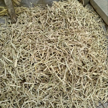 河北农副产品葫芦条大量上市/可视频看货/欢迎咨询