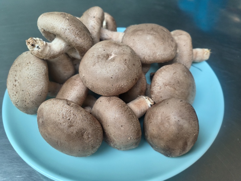 七河香菇/七河鲜香菇/对接商超档口一件代发价格便宜