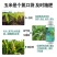 洛丰液体氮洛丰水溶肥快速补氮肥效持久绿叶提苗提质增产正品