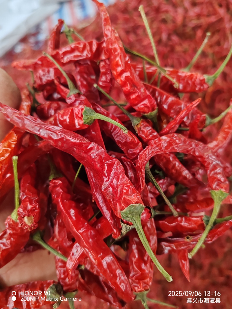 贵州小米辣干椒