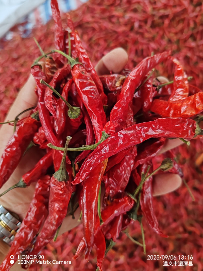 贵州小米辣干椒