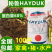鱼粉营养丰富量大从优饲料鱼粉,欢迎来电下单