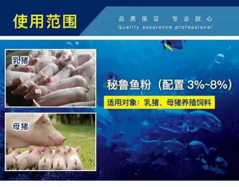 鱼粉营养丰富量大从优饲料鱼粉，欢迎来电下单