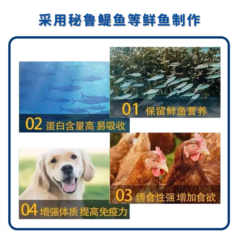 鱼粉营养丰富量大从优饲料鱼粉，欢迎来电下单