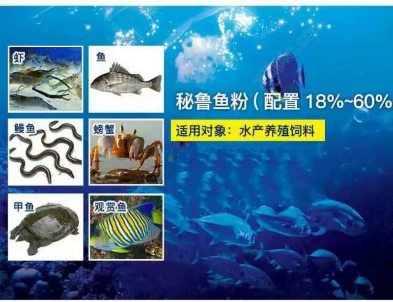 鱼粉营养丰富量大从优饲料鱼粉，欢迎来电下单