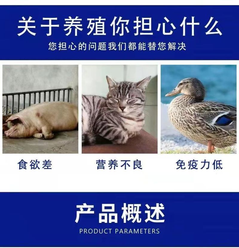 鱼粉国产鱼粉脱脂鱼粉养殖用厂家直发欢迎来电