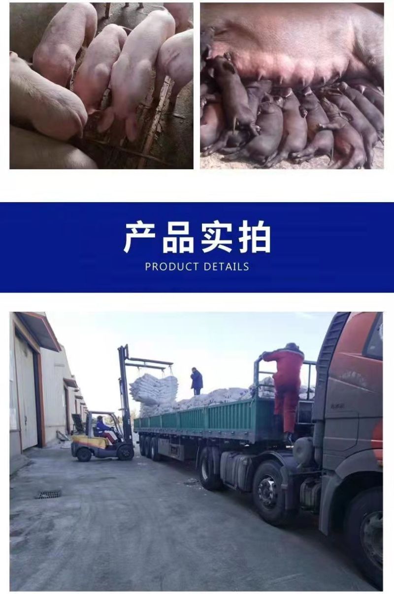 鱼粉国产鱼粉脱脂鱼粉养殖用厂家直发欢迎来电