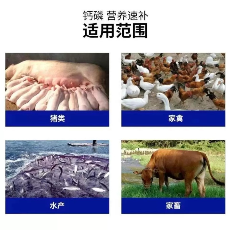 鱼粉国产鱼粉脱脂鱼粉养殖用厂家直发欢迎来电
