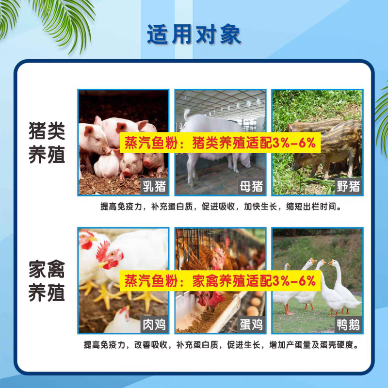 鱼粉国产鱼粉脱脂鱼粉养殖用厂家直发欢迎来电