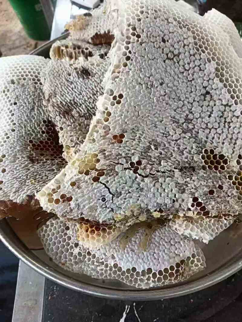 野蜂蜜云南野生蜂蜜，品质保证规格齐全，价格可谈，视频看货