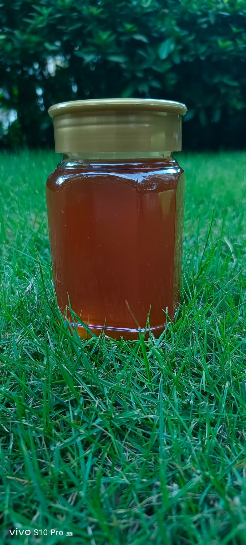 野蜂蜜云南野生蜂蜜，品质保证规格齐全，价格可谈，视频看货