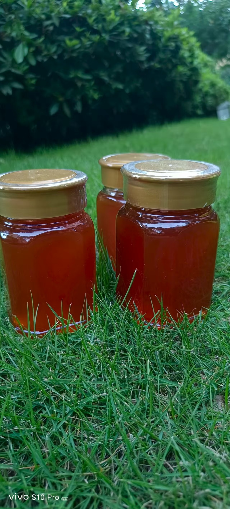 野蜂蜜云南野生蜂蜜，品质保证规格齐全，价格可谈，视频看货