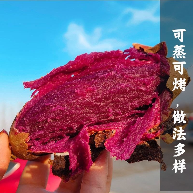 紫薯红薯、紫薯