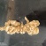 精品竹节参大量供应可视频看货欢迎来电采购洽谈
