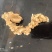 精品竹节参大量供应可视频看货欢迎来电采购洽谈