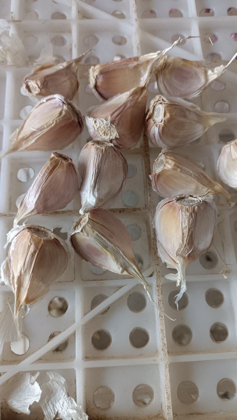 四六瓣大蒜，栗子瓣，大瓣，二瓣