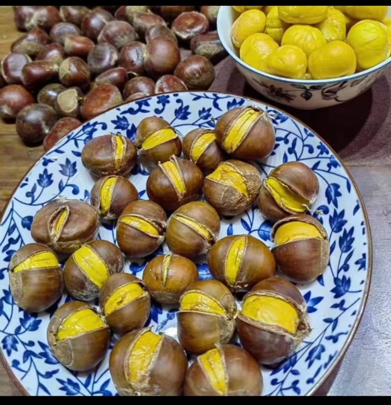金牛山油栗