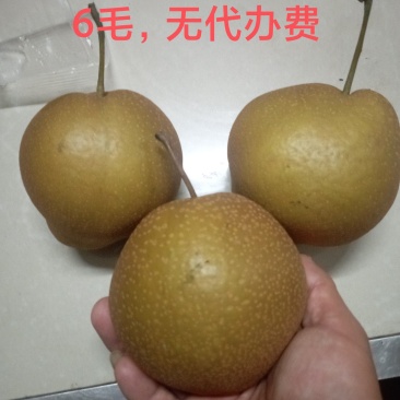 梨