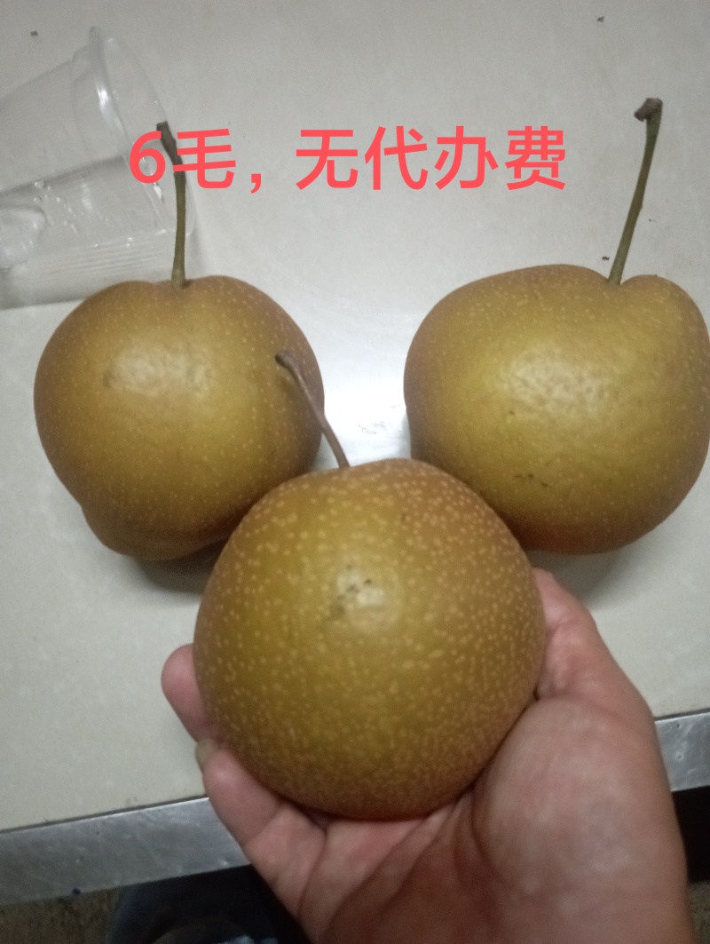梨