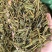 新货枫树寄生桑寄生枫木寄生干品