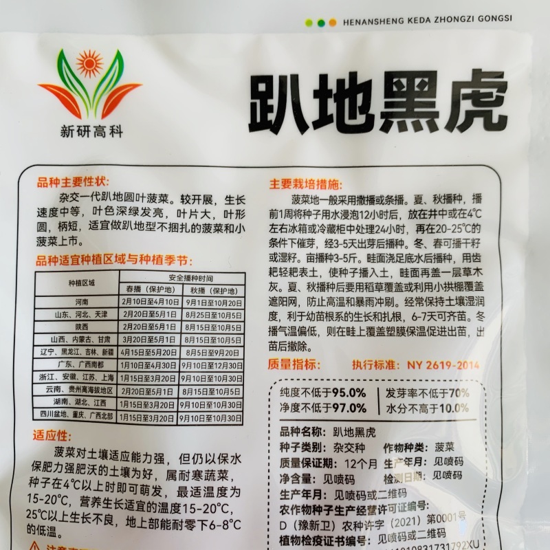 杂交油亮趴地菠菜种子无苦味耐寒圆叶笨菠菜种籽甜菠菜种子