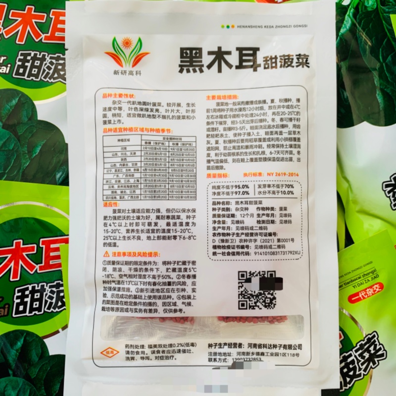 杂交油亮趴地菠菜种子无苦味耐寒圆叶笨菠菜种籽甜菠菜种子