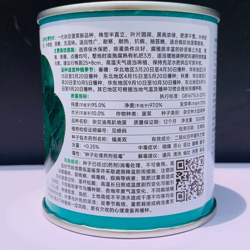 杂交油亮趴地菠菜种子无苦味耐寒圆叶笨菠菜种籽甜菠菜种子