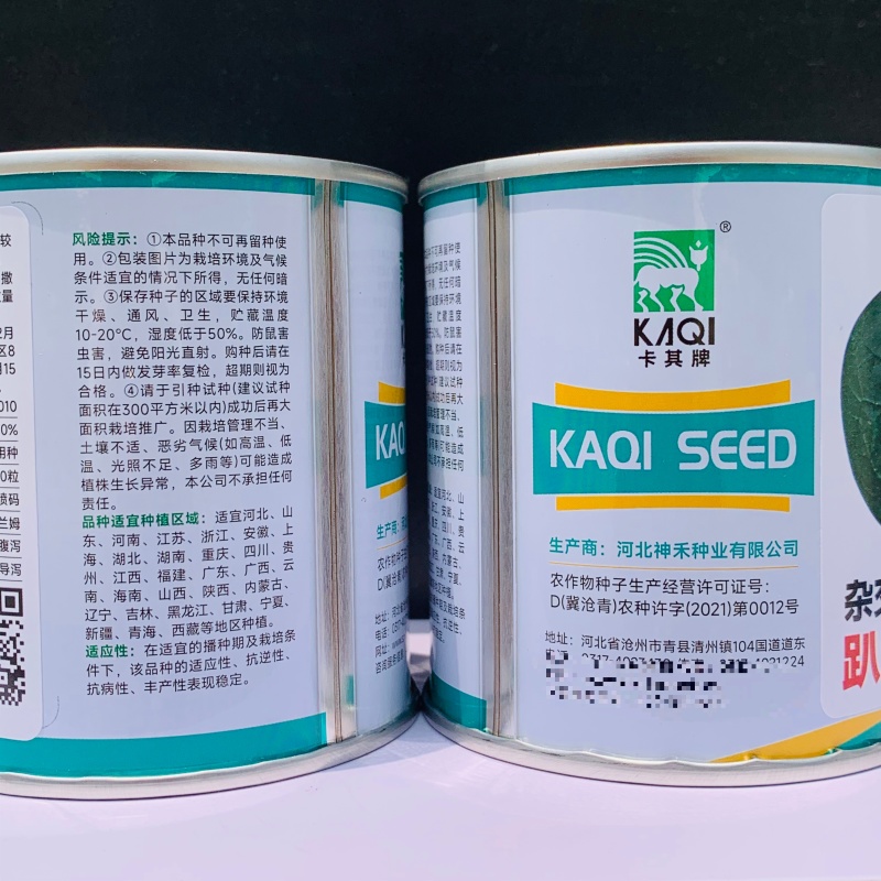 杂交油亮趴地菠菜种子无苦味耐寒圆叶笨菠菜种籽甜菠菜种子