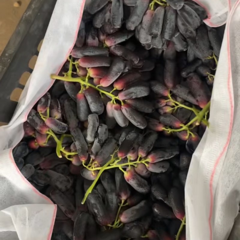 蓝宝石处理三千斤，3.5一斤，速度了