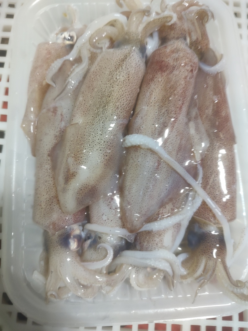 去肚小鱿鱼