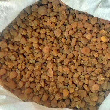 贝母大货对接有30顿