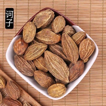 诃子新货正品诃子肉中药材诃子肉柯子金柯子大金果