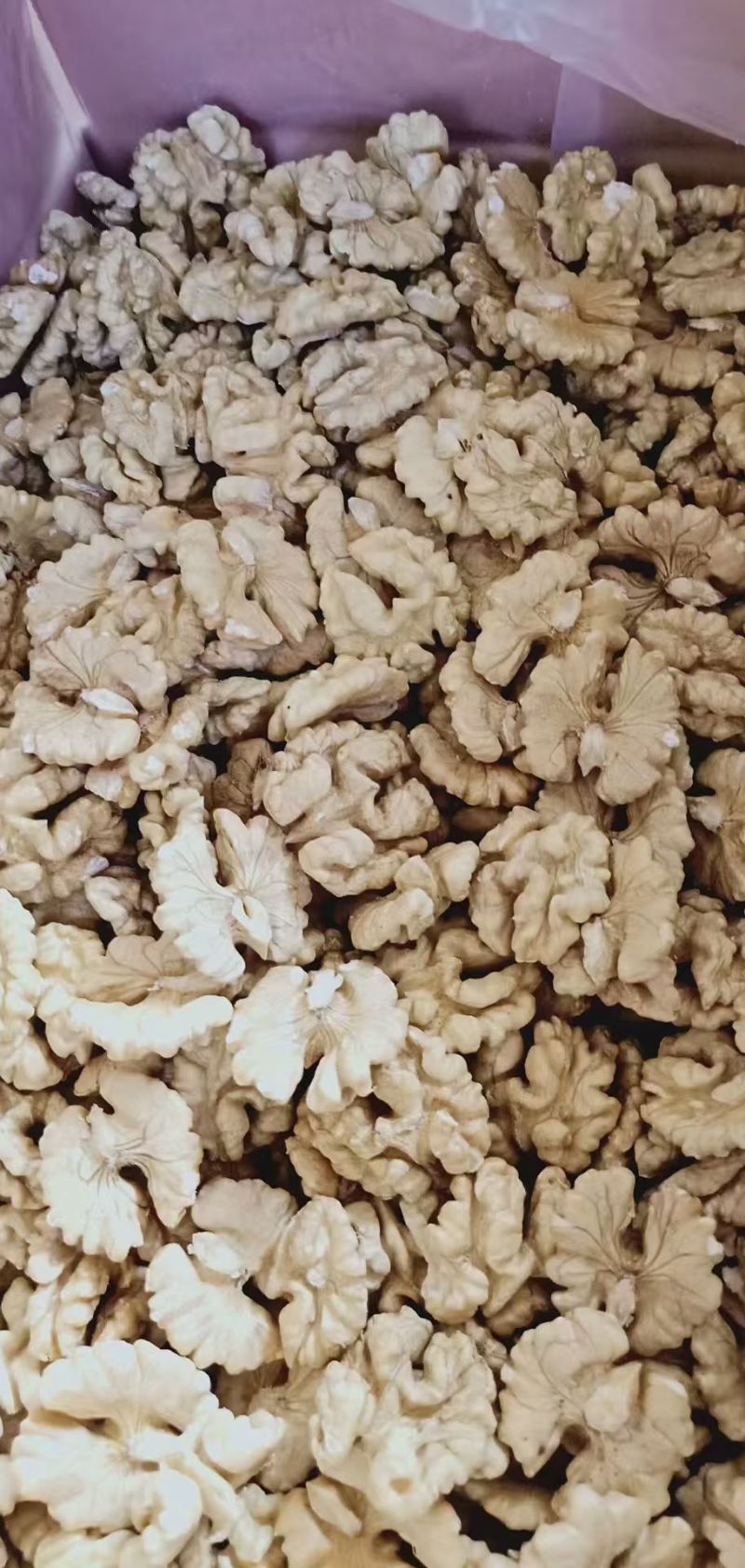 新鲜麻子核桃圆波罗薄皮核桃皮薄果仁饱满口感香甜量大价优