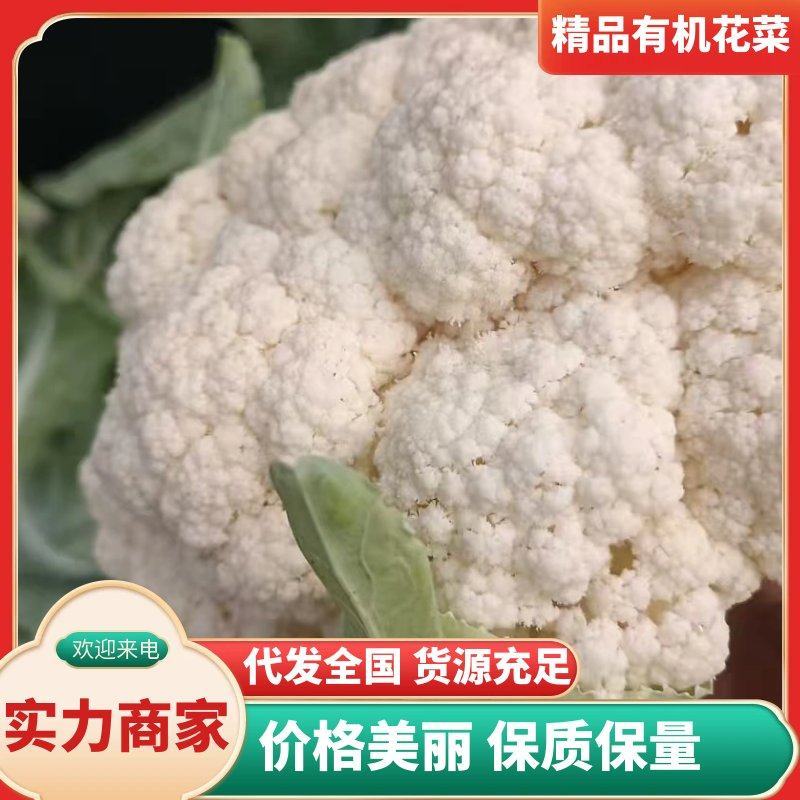精品有机花菜青梗白面货源充足量大从优质量保证欢迎咨询