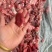 牛肉块牛碎肉国产牛肉赘铃铛肉