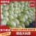 【推荐】夏阳白菜大吨位供应产地直发品质白菜欢迎咨询