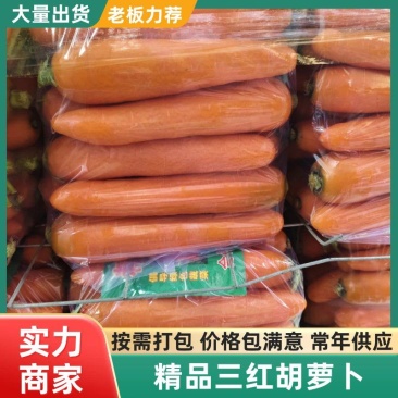 精品胡萝卜大中小水洗带樱电商货商超支持各种包装代发全国