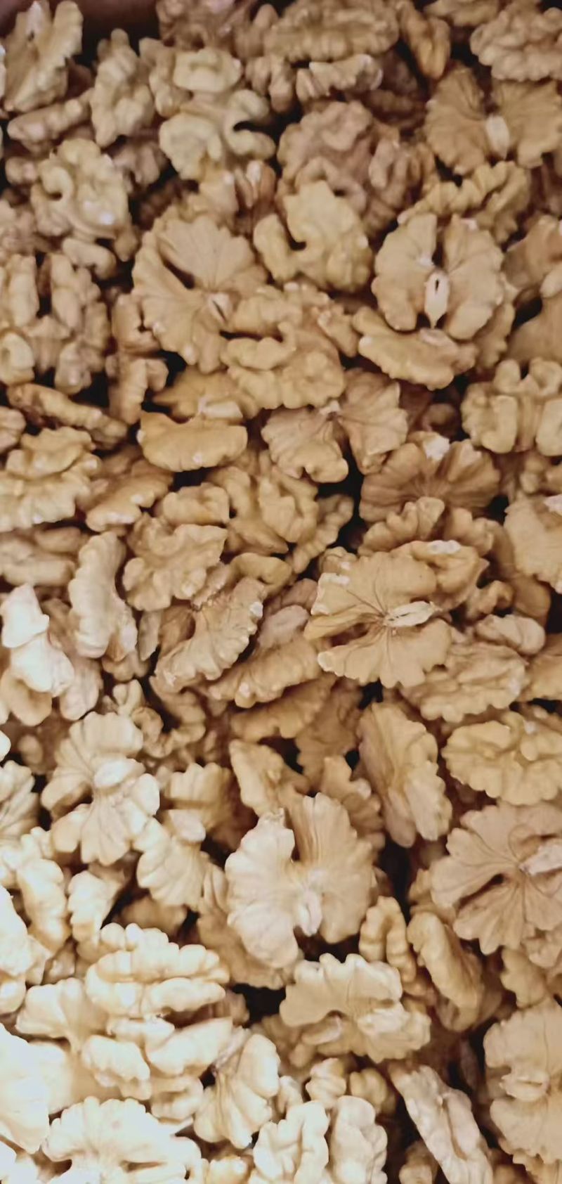 【云南漾濞核桃】薄皮核桃圆波罗麻子核桃皮薄仁饱满品质保证