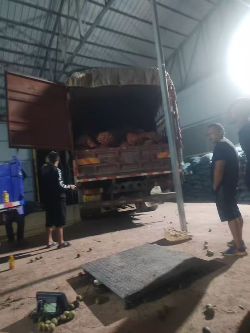 【云南漾濞核桃】薄皮核桃圆波罗麻子核桃皮薄仁饱满品质保证