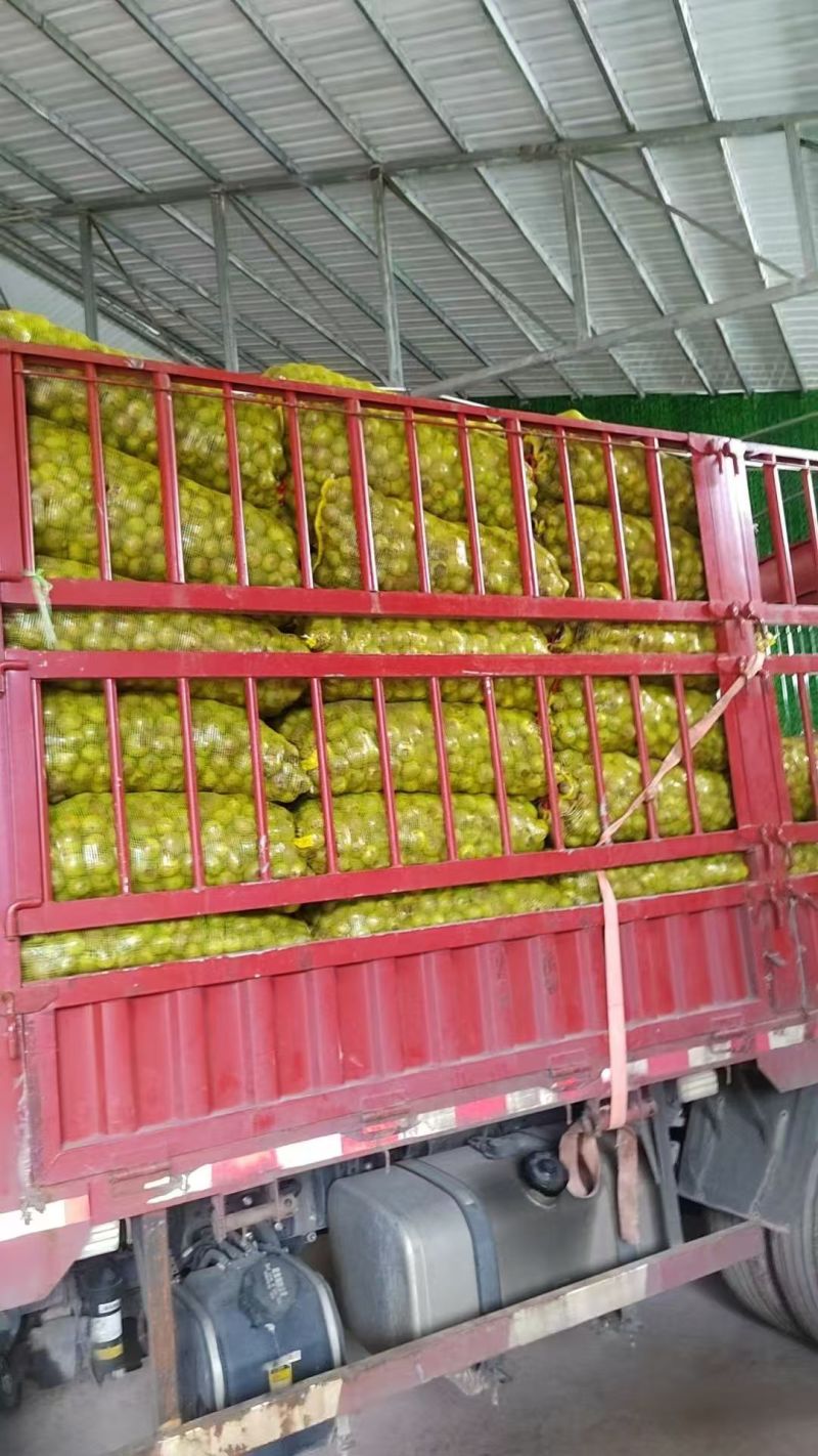【云南漾濞核桃】薄皮核桃圆波罗麻子核桃皮薄仁饱满品质保证