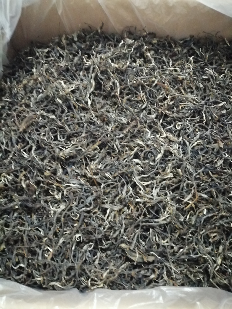 成片古树茶