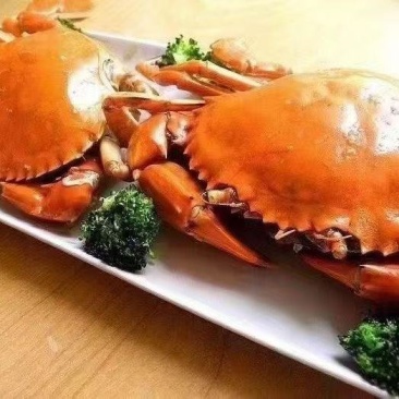 锯缘青蟹，江苏青蟹，自家养殖，实地考察，质量保障！