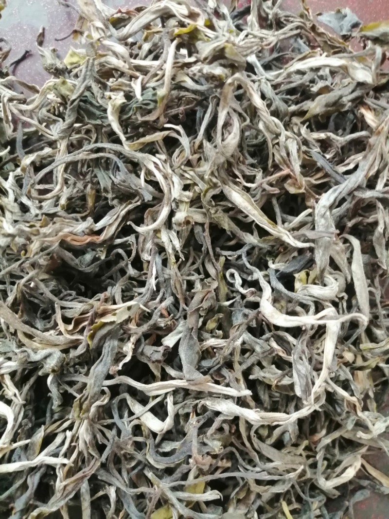 古树茶普洱茶