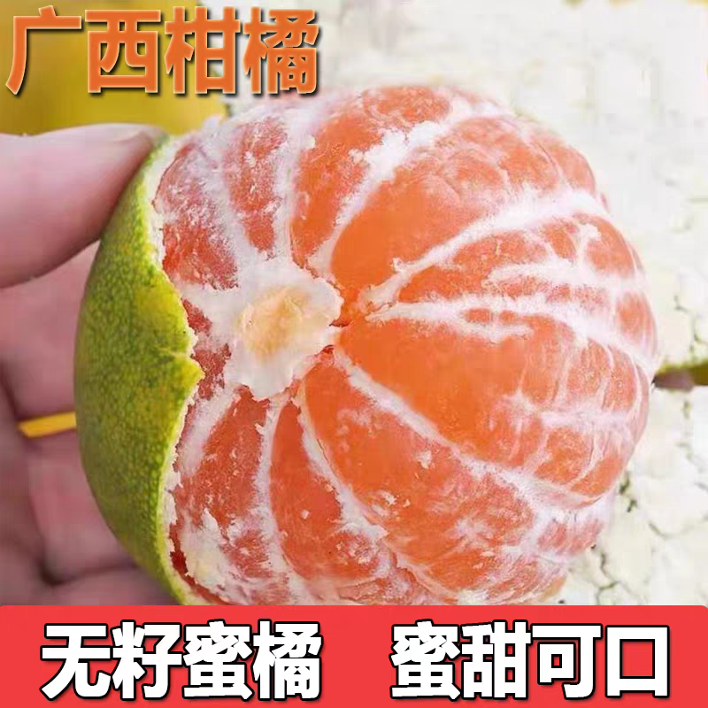 《广西蜜橘》特早蜜橘/青香蜜橘/产地货源/价格商议