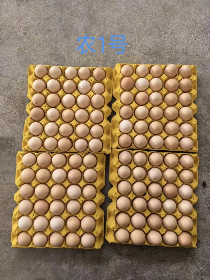 土鸡蛋批发礼品包装