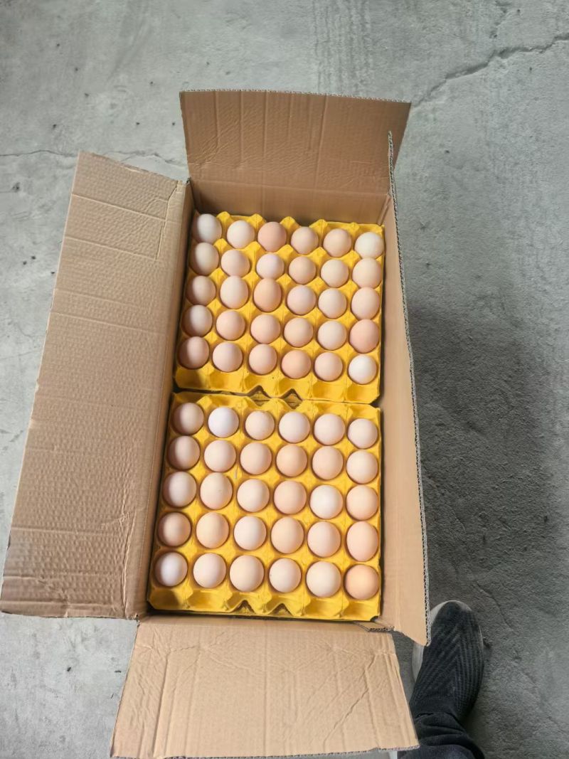 土鸡蛋批发礼品包装