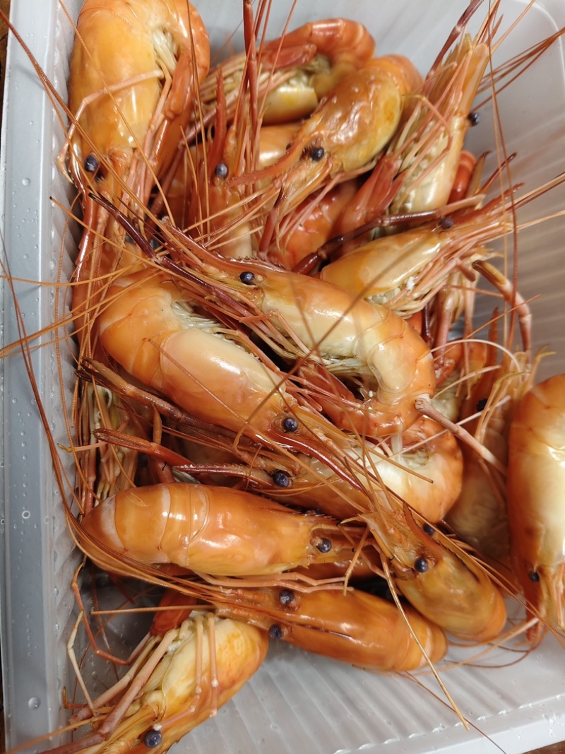 液氮速冻罗氏虾金钱虾高邮大虾蒸煮虾生冻虾