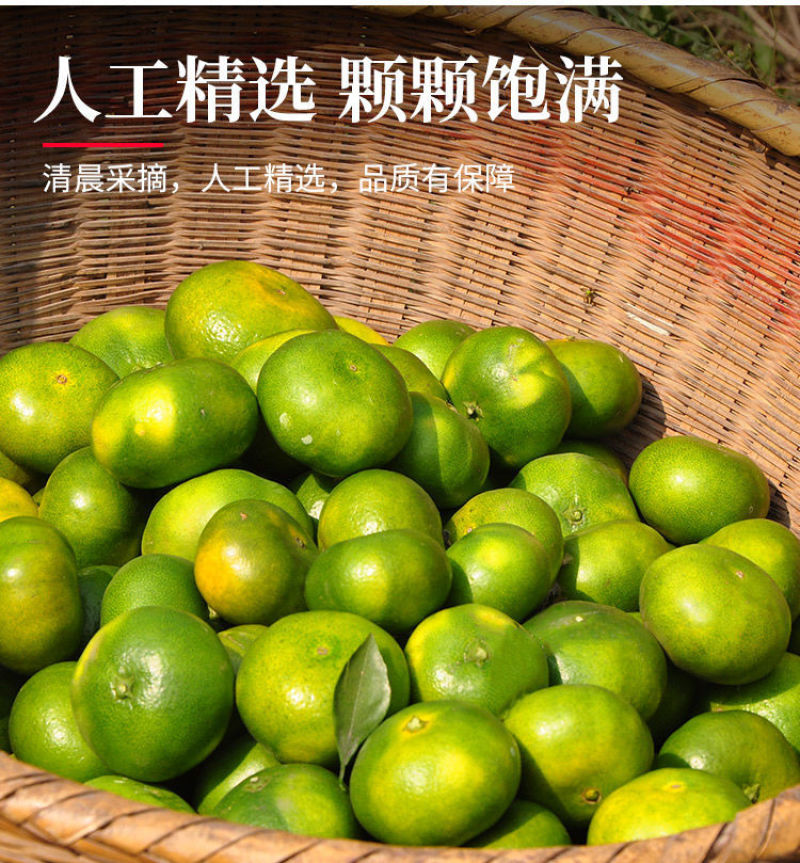 南丰蜜橘蜜橘湖南蜜橘金秋砂糖橘，普早蜜橘